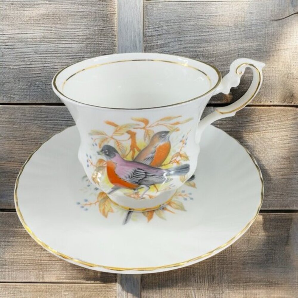 Queens Rosina China Co Cardinals Birds Of America Teacup Saucer Set Porcelain